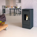 Poêle à granulés étanche fonte - FIREMATIC BR12 10.3 kW – Image 1
